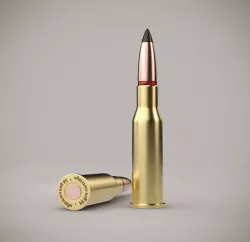 Ammunition  mm bullets 3D model