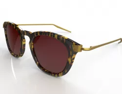 anatomically correct Sunglasses 3D model