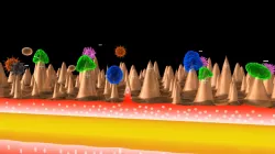 bacterium virus 3D model