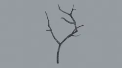 Bark Branch  Low-poly 3D model