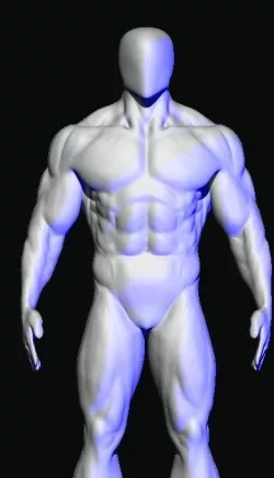 base mesh body builder  3D model