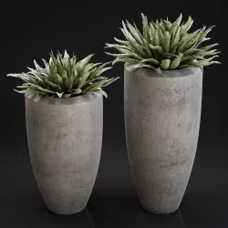 Big plant in a concrete pot 3D model