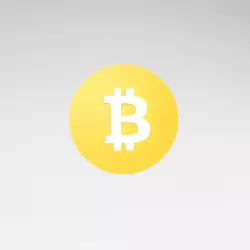 Bitcoin SV v1 001 Low-poly 3D model
