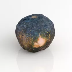 Calabaza - Pumpkin - Fotogrametria - Photogrammetry 3D model