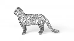Cat Wireframe Low-poly 3D model