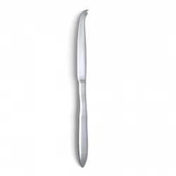 Cheese Knife 3D model