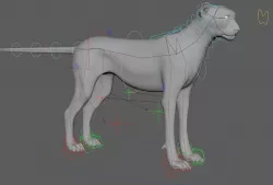 Cheetah - body with RIG 3D model