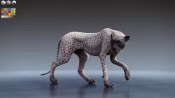 Cheetah - only body with textures and shading 3D model