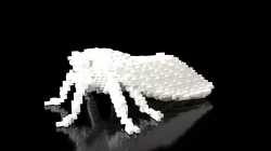 Cicada Minecraft Voxel Low-poly 3D model