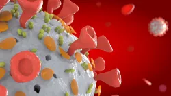 CORONA VIRUS COVID 19 3D model