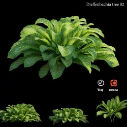 Dieffenbachia 02 3D model