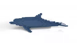 Dolphin Minecraft Voxel Low-poly 3D model