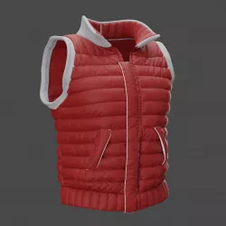 Down vest 3D model