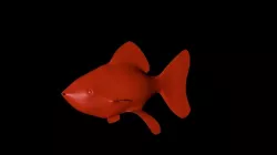 Fish 3D Model 3D model