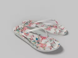 Flip Flops Roxy 3D model