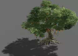 Game Models - Forest - Trees 10 3D model