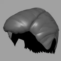 Hair for Man-01 3D model