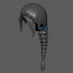 Hair for Women 3D model