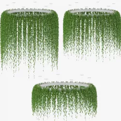 Hanging plants v2 3D model