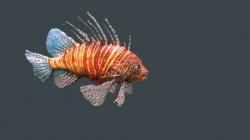 ▷ fish board 3d models 【 STLFinder 】