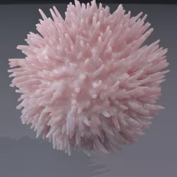 Lymphocyte 3D model
