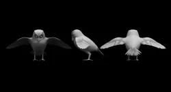 owl 3d model 3D model