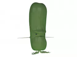 Pickle man 3D model