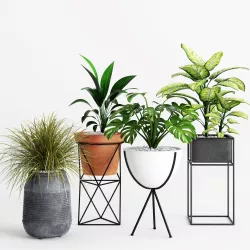 Plants And Planters 4 3D model