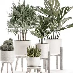Plants in a white flowerpot for decor and interior design 508 3D model