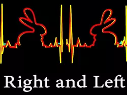 Rabbit heartbeat Curved - Right and Left  Low-poly 3D model