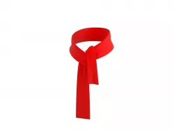 Red Scarf 3D model