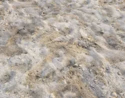 Sand terrain PBR pack 3 Texture