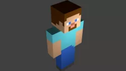 steve 3D model