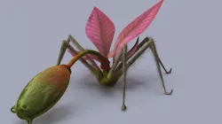 Strange flower  3D model