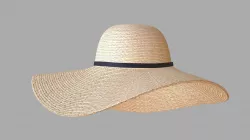Straw sun hat 3D model