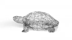 Turtle Wireframe Low-poly 3D model