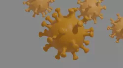 Virus 3D Model  3D model
