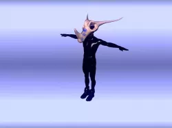 2 Toon Masks Low-poly 3D model
