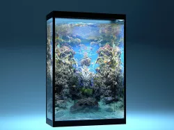 Aquarium 3D model