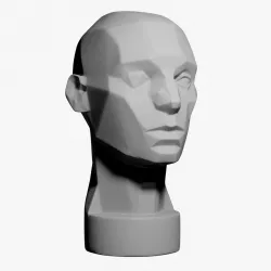 Asaro Head - Planes of the head 3D model
