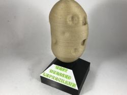 best dressed award trophy 3d models 【 STLFinder