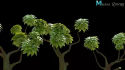 Cartoon jungle tree 3D model