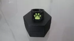 Chat Noir's Ring