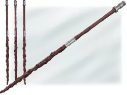 Chirrut Imwe's Staff