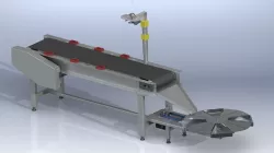 Conveyor Sorting System 3D model