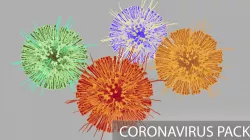 Corona Virus Pack 3D model