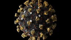Coronavirus 3D model