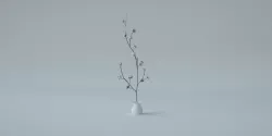 Cotton Plant 3D model