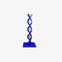 DNA Printable 3D model