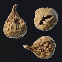 Dried Fig A Low-poly 3D model